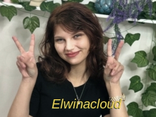 Elwinacloud