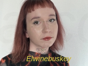 Elwinebuskey