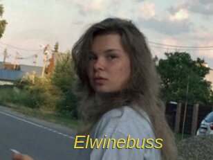 Elwinebuss
