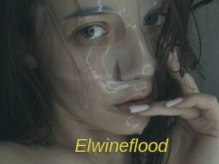 elwineflood Archive DVD ORG