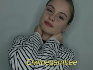 Elwinegambee