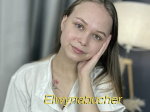elwynabucher Archive DVD ORG