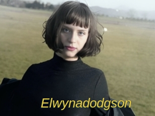 Elwynadodgson