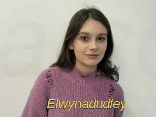Elwynadudley