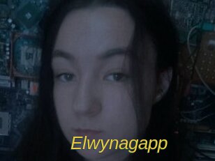 Elwynagapp