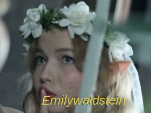 emilywaldstein Archive DVD ORG