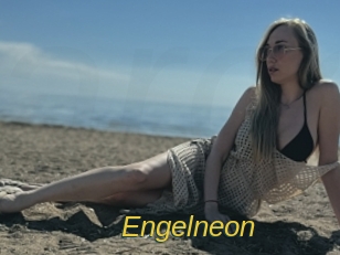 engelneon Archive DVD ORG