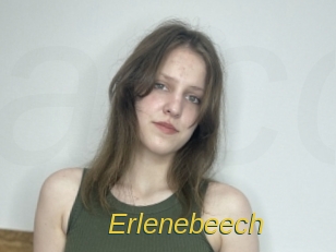 Erlenebeech