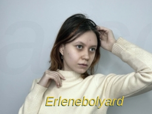 Erlenebolyard