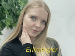Erlinafugler