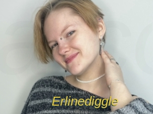 Erlinediggle