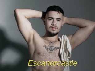 escanorcastle Archive DVD ORG