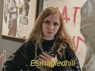 Esmagledhill