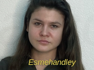 Esmehandley