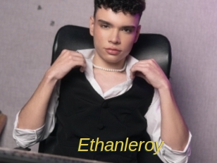 ethanleroy Archive DVD ORG