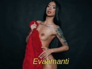 evaamanti Archive DVD ORG