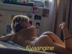 Evaangine