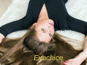 Evachice