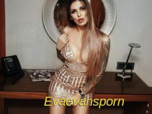Evaevansporn