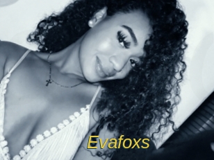 evafoxs Archive DVD ORG