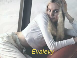Evalevy