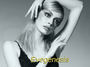 evegenesis Archive DVD ORG