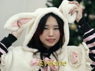 Evelane