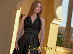 evelindia Archive DVD ORG