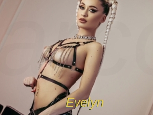 evelyn Archive DVD ORG
