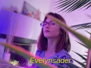 evelynsader Archive DVD ORG