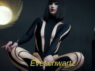 eveschwartz Archive DVD ORG