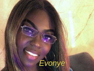 evonye Archive DVD ORG