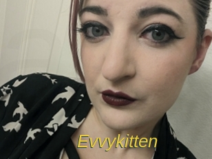 Evvykitten