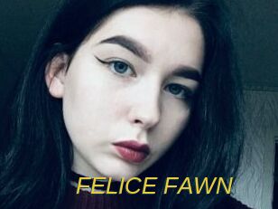 FELICE_FAWN