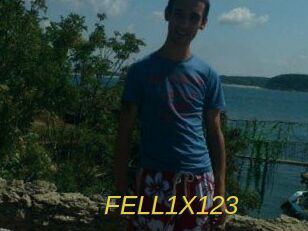 FELL1X123