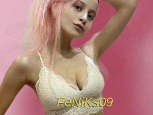 FeNiKs09