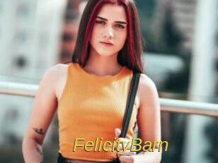 FelicityBarn