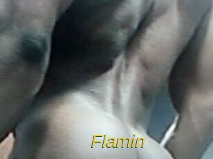 Flamin