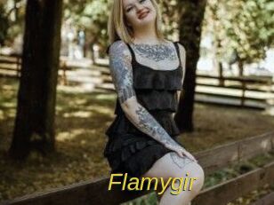 Flamygir