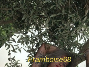 Framboise68