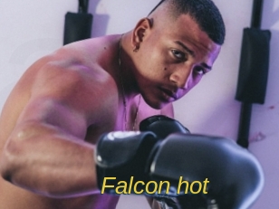 falcon_hot Archive DVD ORG