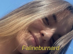 Falineburnard