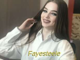 Fayesteele