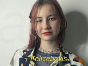 Felicebevis