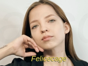Felicecage