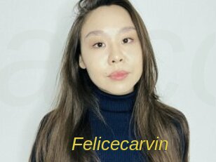 Felicecarvin