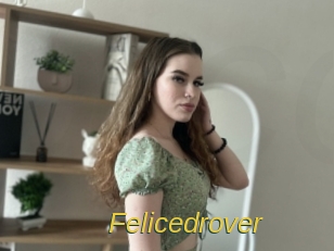 Felicedrover