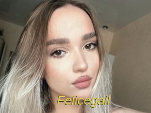 felicegail Archive DVD ORG