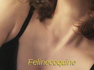 Felinecoquine