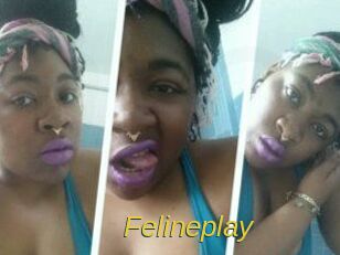 Felineplay